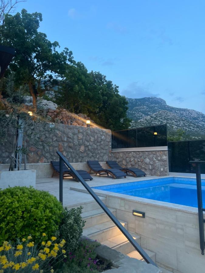 Matea With Pool And Sea View Apartment Cesarica